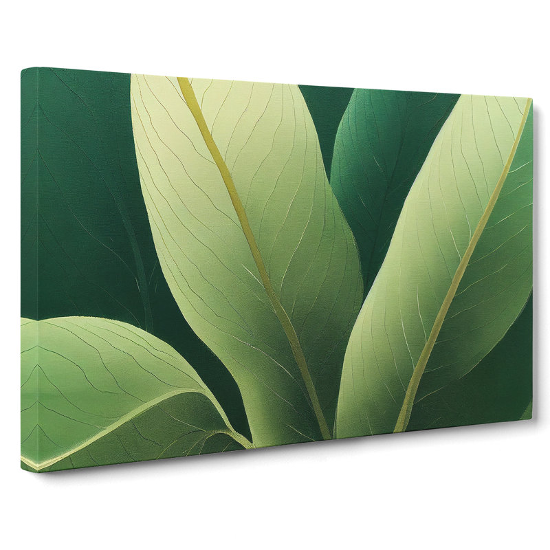 Amazing Leaf - Wrapped Canvas, 50cm H x 76cm W x 3cm D