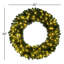 Primrue 30" Deluxe Sequoia Pine Wreath with 100 Warm White LED Lights