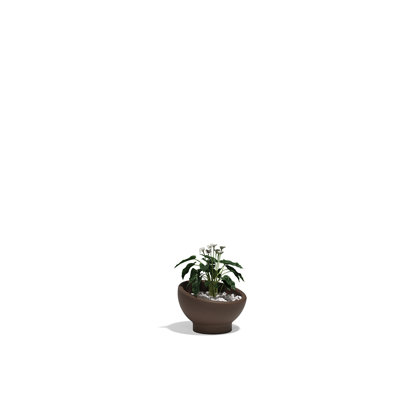 Luna Planter