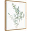 Eucalyptus II, impression encadrée sur toile par Danhui Nai-1720557757