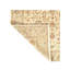 Rozalija Oriental Area Rug in Ivory