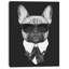 « french bouledogue mode portrait », impression sur toile tendue-19408355-33311297