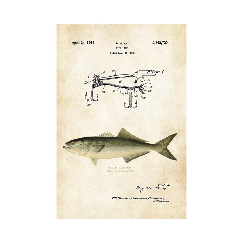 Bluefish Fishing Lure by Patent77 - Wrapped Canvas Print, 66.04 cm H x 45.72 cm W x 3.175 cm D