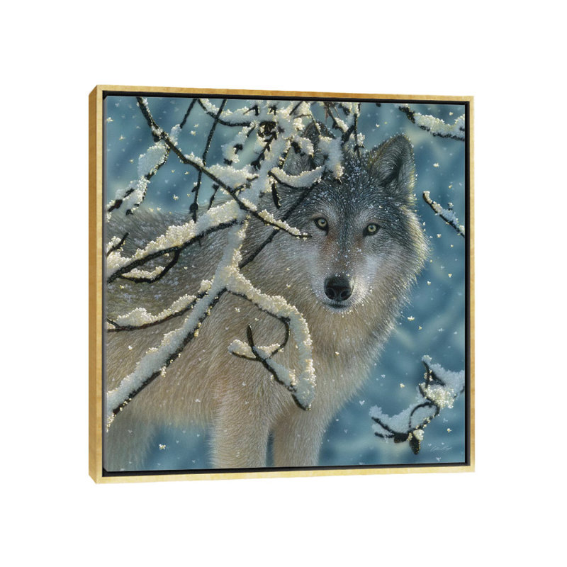« Broken silence Gray Wolf », carré par Collin-gris-impression d’art graphique, Toile encadrée d'or, Pas de tapis