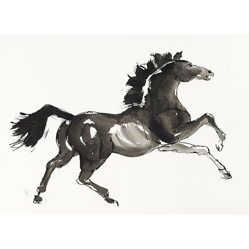 Horse H5 Print by Chris Paschke, Glass Coat, 24" H x 32" W x 1.5" D