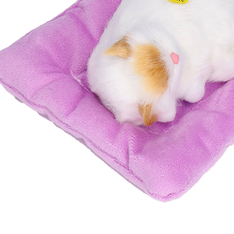 Fake Cats Sleeping Kitten, H 7,09 po x l 6,3 po x P 2,36 po