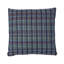 Zealand Check Pillow
