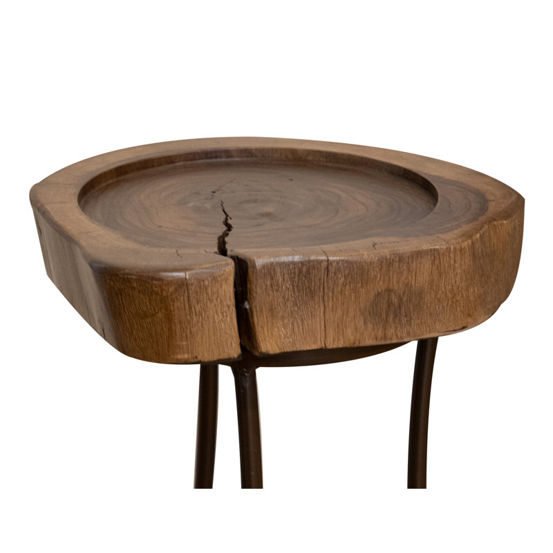 Jayiden Solid Wood Top End Table