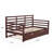 Alexys Solid Wood Daybed With Pop-Out Trundle-543304575