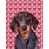 Dachshund (noir gris)