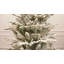 4.5' Lighted Artificial Fir Christmas Tree