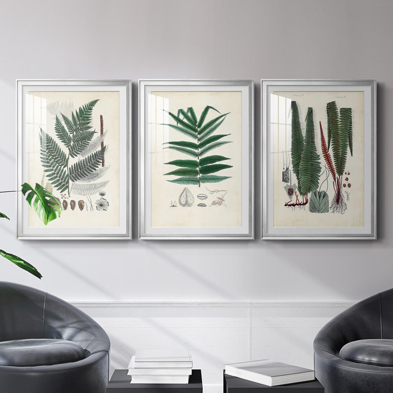 «Ferns IV», reproduction encadrée de qualité supérieure - prête à être accrochée, Cadre argenté, H 30,5 po x l 45 po