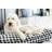 Checkered Polyester Pet Bed-56468084-56468088