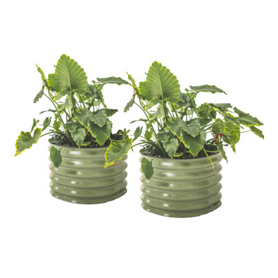 17" Tall 24" Wide Round Metal Outdoor Raised Garden Bed (Set of 2)