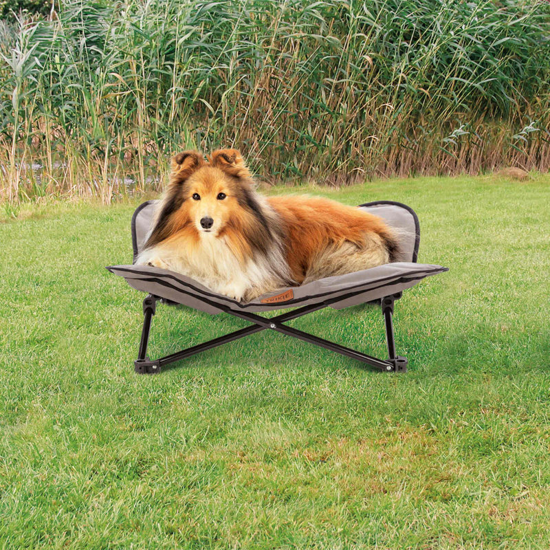 Medium Gray Elevated Waterproof Outdoor Dog Cot