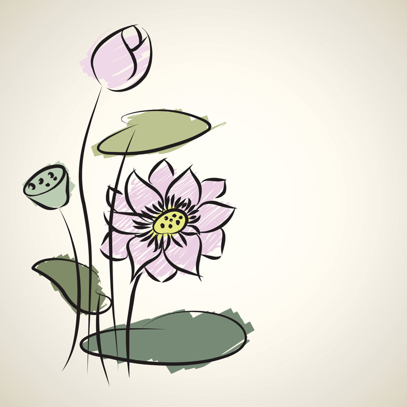 Cilla Water Lily Pattern of Illustrator Sketching 1 Piece Wrapped Canvas Wall Art, 122cm H x 122cm W x 3.8cm D