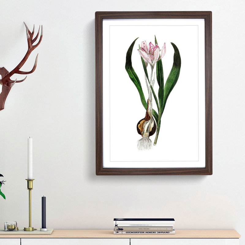Autumn Crocus Flowers Illustration - Framed Print, 33cm H x 24cm W x 2cm D, Walnut Framed