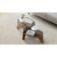 Table basse ronde moderne en verre trempé avec base en éventail et tablette de rangement ouverte-837895557-837895559