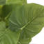 Ensemble de 2 plantes artificielles Epipremnum, 33 cm de hauteur, fausse verdure en pot, décoration de table intérieure avec pots noirs