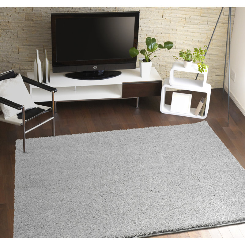 Tapis à poils longs argenté, Rectangle 60 po x 96 po