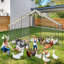 12m² Chicken Coop-539083600