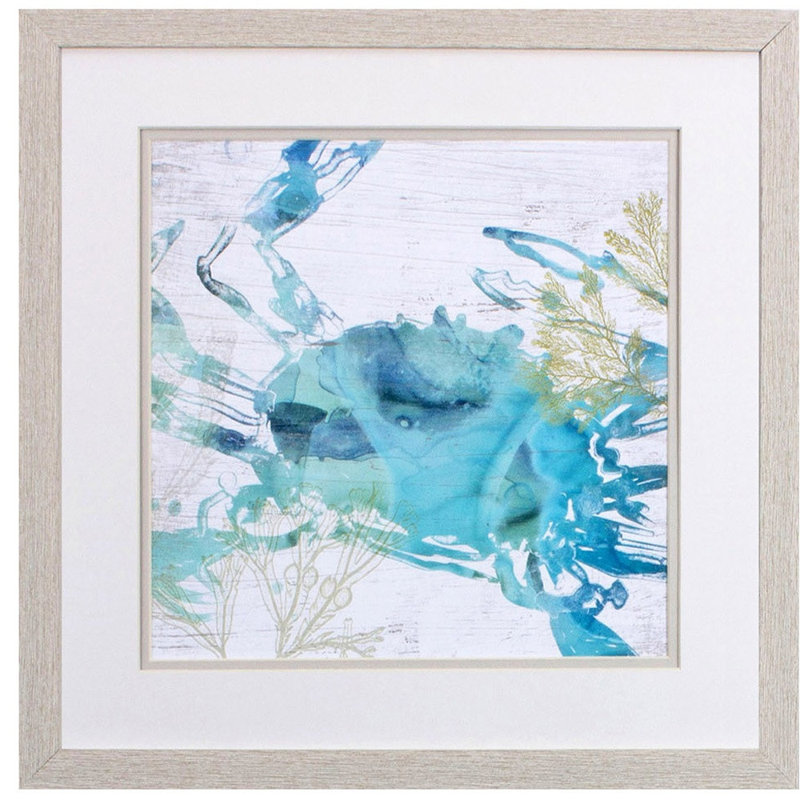Coastal Blue Sea Life Prints with Distressed Whitewash Frames