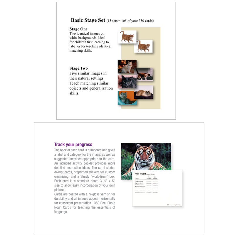 Language Builder Picture Nouns Flash Cards