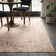 Coyer Performance Oriental Rug