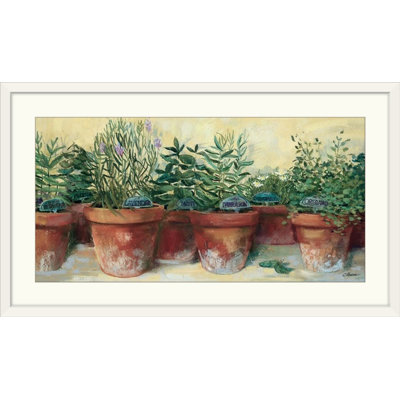 Potted Herbs Farmhouse / Country