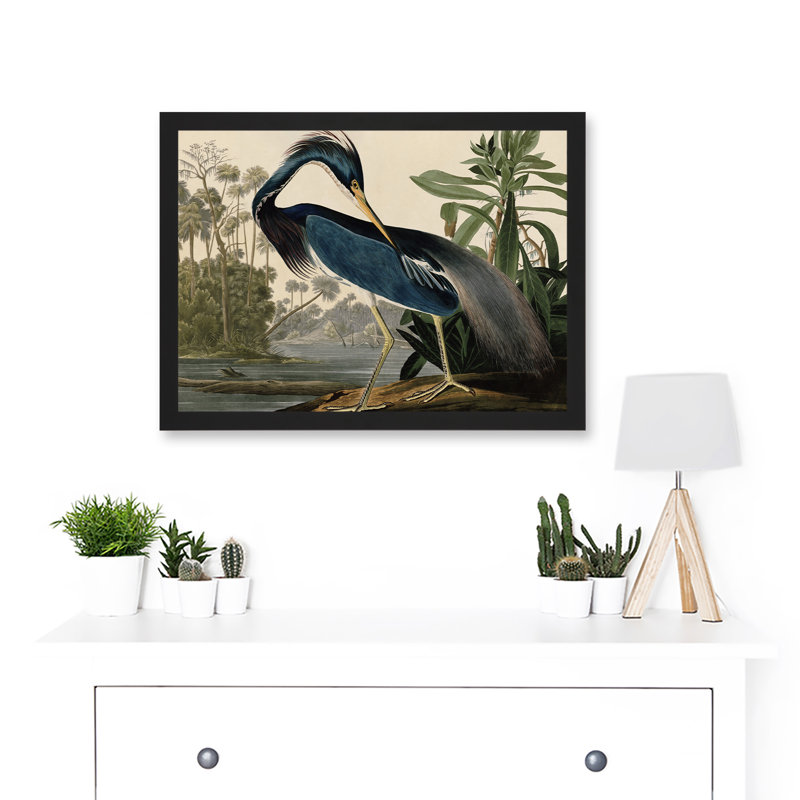Audubon Birds Louisiana Blue Heron - Single Picture Frame Painting