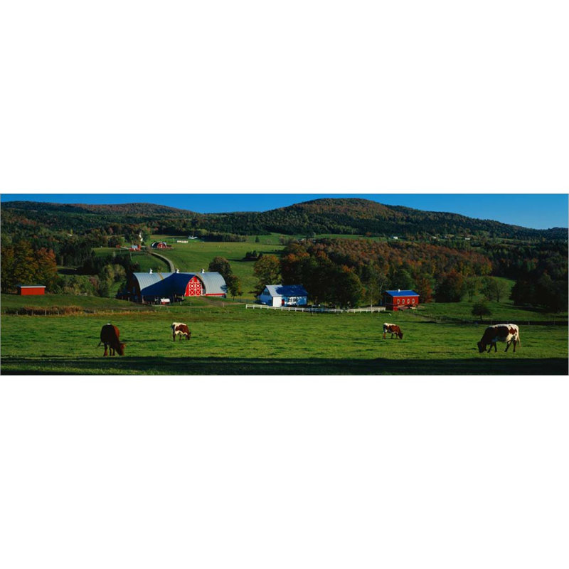 Landscape & Nature Wall Decor