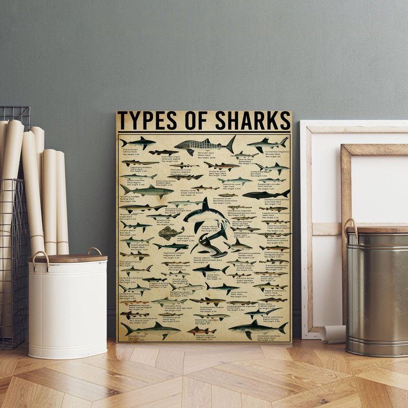 "Types of Sharks Gallery", impression sur toile tendue, H 10 po x l 8 po x P 1,25 po