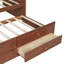 Lit de jour simple avec lit gigogne et 2 espaces de rangement, bouton rembourré - noyer pour les tiroirs de confort, dossier polyvalent teinté-129957377