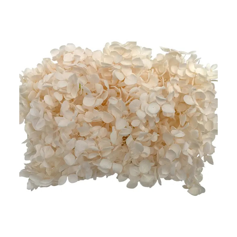 Dried Anna Hydrangea, Pink