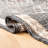 Mickie Southwestern Handmade Flatweave Jute Black/Ivory Area Rug-289907652