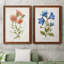 «Botanical I», ensemble de 2 reproductions d'art-271774482-271774487-271774457