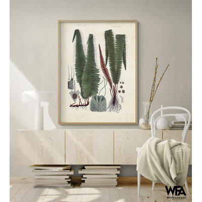 Collected Ferns V, Fern Wall Art, Botanical Collection Poster Print, Green Leaves Print, Plant Lady Gift Idea, Botanical Office Decor