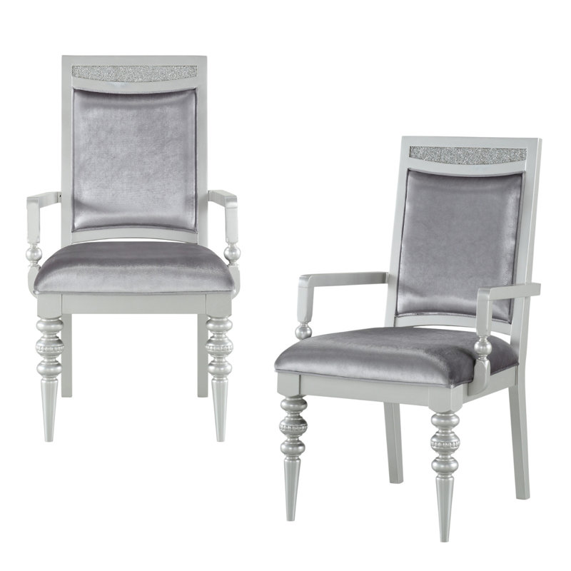Ensemble de deux fauteuils de salle à manger en tissu platine