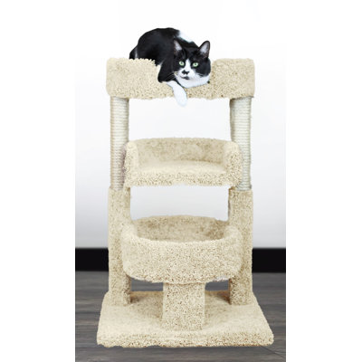 Nouveau perchoir pour chat à plusieurs niveaux avec poteaux à griffer