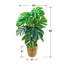 30-Inch Monstera Plant in Woven Natural Basket