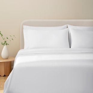Sofia 100% Cotton Sateen Sheet Set