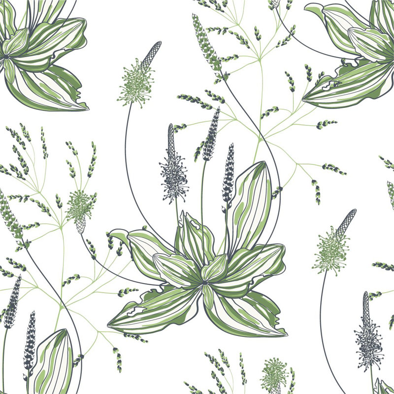 Plantain Wallpaper B1085, 18.75" W x 25" L, Paper