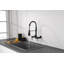 Robinet de cuisine central transitionnel mural mat noir 8 pouces avec douchette extractible-121293567