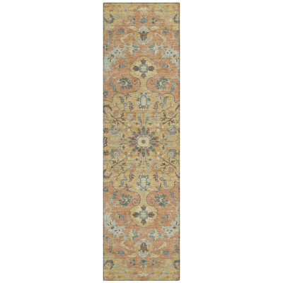 Machine Washable Indoor/Outdoor Chantille ACN2564 Global Rug