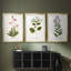 Nature Printed Botanicals V - reproduction sur mesure encadrée de qualité supérieure - 3 pièces-506778560-506778574
