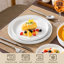 24 Piece Porcelain China Dinnerware Set - Service for 6 -696214294