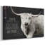 Toile tendue Longhorn