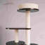 Structure d'escalade pour chat Classic Creative Design
