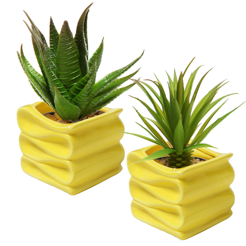 Ceramic Pot Planter
