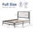 Twin Size Upholstered Daybed With Trundle ,Velvet Sofabed With USB Charging Ports,No Box-Spring Needed,Green-189314302